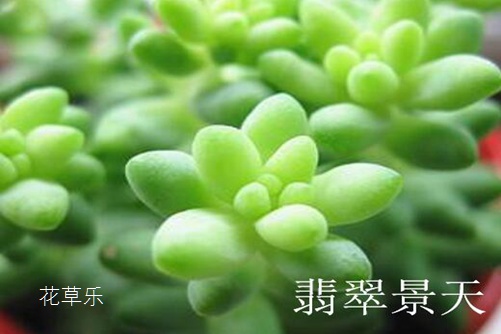 逸轩动漫——，匠心独运，引领国漫新风尚