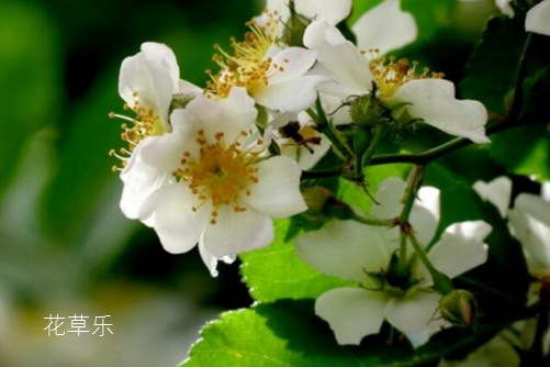 壁纸男动漫——中文字幕亚洲乱码熟女在线，解构摄影艺术的精密工具